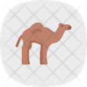 پیش‌نمایش فایل camel-5884713 از پک بیابان