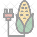 پیش‌نمایش فایل corn-farming-5912640 از پک انرژی پایدار