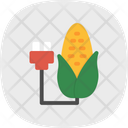 پیش‌نمایش فایل corn-farming-5913689 از پک انرژی پایدار