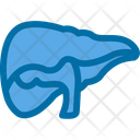پیش‌نمایش فایل liver-6139819 از پک پزشکی و دارو