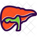 پیش‌نمایش فایل liver-6139585 از پک پزشکی و دارو