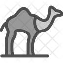 پیش‌نمایش فایل camel-6227504 از پک Dubai