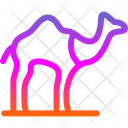 پیش‌نمایش فایل camel-6227311 از پک Dubai