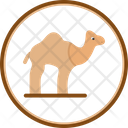 پیش‌نمایش فایل camel-6227010 از پک Dubai