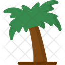 پیش‌نمایش فایل palm-tree-6226798 از پک Dubai
