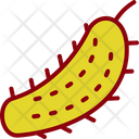 پیش‌نمایش فایل pickle-6213237 از پک میوه و سبزیجات