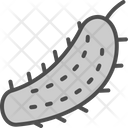 پیش‌نمایش فایل pickle-6213181 از پک میوه و سبزیجات