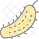 پیش‌نمایش فایل pickle-6212816 از پک میوه و سبزیجات