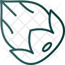 پیش‌نمایش فایل acorn-6212703 از پک میوه و سبزیجات