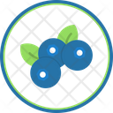 پیش‌نمایش فایل blueberry-6212595 از پک 24 - میوه‌ها و سبزیجات 10 - فلت دایره