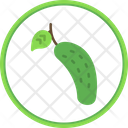 پیش‌نمایش فایل cucumber-6212552 از پک 24 - میوه‌ها و سبزیجات 10 - فلت دایره