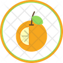 پیش‌نمایش فایل orange-6212561 از پک 24 - میوه‌ها و سبزیجات 10 - فلت دایره