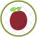 پیش‌نمایش فایل plum-6212548 از پک 24 - میوه‌ها و سبزیجات 10 - فلت دایره