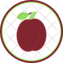پیش‌نمایش فایل plum-6212556 از پک 24 - میوه‌ها و سبزیجات 10 - فلت دایره