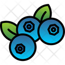 پیش‌نمایش فایل blueberry-6212536 از پک میوه و سبزیجات