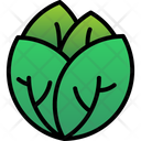 پیش‌نمایش فایل cabbage-6212480 از پک میوه و سبزیجات
