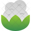 پیش‌نمایش فایل broccoli-6212476 از پک میوه و سبزیجات