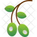 پیش‌نمایش فایل olive-6212453 از پک میوه و سبزیجات