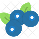 پیش‌نمایش فایل blueberry-6212302 از پک میوه و سبزیجات
