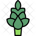پیش‌نمایش فایل artichoke-6212221 از پک میوه و سبزیجات