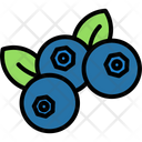 پیش‌نمایش فایل blueberry-6212238 از پک میوه و سبزیجات