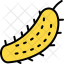 پیش‌نمایش فایل pickle-6212222 از پک میوه و سبزیجات