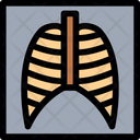 پیش‌نمایش فایل lungs-x-ray-6140826 از پک پزشکی و دارو