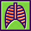 پیش‌نمایش فایل lungs-x-ray-6141005 از پک پزشکی و دارو