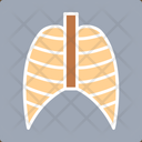 پیش‌نمایش فایل lungs-x-ray-6140942 از پک پزشکی و دارو