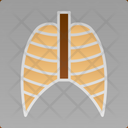 پیش‌نمایش فایل lungs-x-ray-6141172 از پک پزشکی و دارو