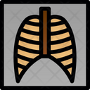 پیش‌نمایش فایل lungs-x-ray-6141241 از پک پزشکی و دارو