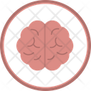 پیش‌نمایش فایل brain-6141323 از پک پزشکی و دارو