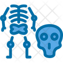 پیش‌نمایش فایل femur-6141354 از پک پزشکی و دارو