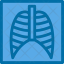 پیش‌نمایش فایل lungs-x-ray-6141368 از پک پزشکی و دارو