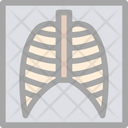 پیش‌نمایش فایل lungs-x-ray-6141570 از پک پزشکی و دارو