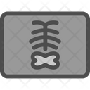 پیش‌نمایش فایل x-ray-6141975 از پک پزشکی و دارو