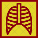 پیش‌نمایش فایل lungs-x-ray-6142039 از پک پزشکی و دارو