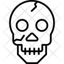 پیش‌نمایش فایل bones-6786901 از پک Prehistoric عنصر
