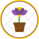 پیش‌نمایش فایل flower-pot-7426328 از پک روز جهانی محیط زیست