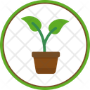 پیش‌نمایش فایل plant-pot-7426320 از پک روز جهانی محیط زیست