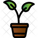 پیش‌نمایش فایل plant-pot-7426122 از پک روز جهانی محیط زیست