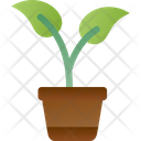 پیش‌نمایش فایل plant-pot-7426054 از پک روز جهانی محیط زیست