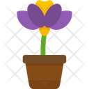 پیش‌نمایش فایل flower-pot-7425967 از پک روز جهانی محیط زیست