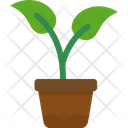 پیش‌نمایش فایل plant-pot-7425959 از پک روز جهانی محیط زیست