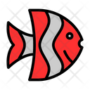 پیش‌نمایش فایل angelfish-7574636 از پک غواصی
