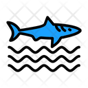 پیش‌نمایش فایل sharkfin-7574681 از پک غواصی