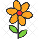 پیش‌نمایش فایل bouquet-7578231 از پک باغ پشت