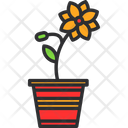 پیش‌نمایش فایل flower-pot-7578248 از پک باغ پشت