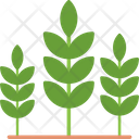پیش‌نمایش فایل agriculture-7578715 از پک باغ پشت