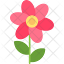 پیش‌نمایش فایل bouquet-7578733 از پک باغ پشت
